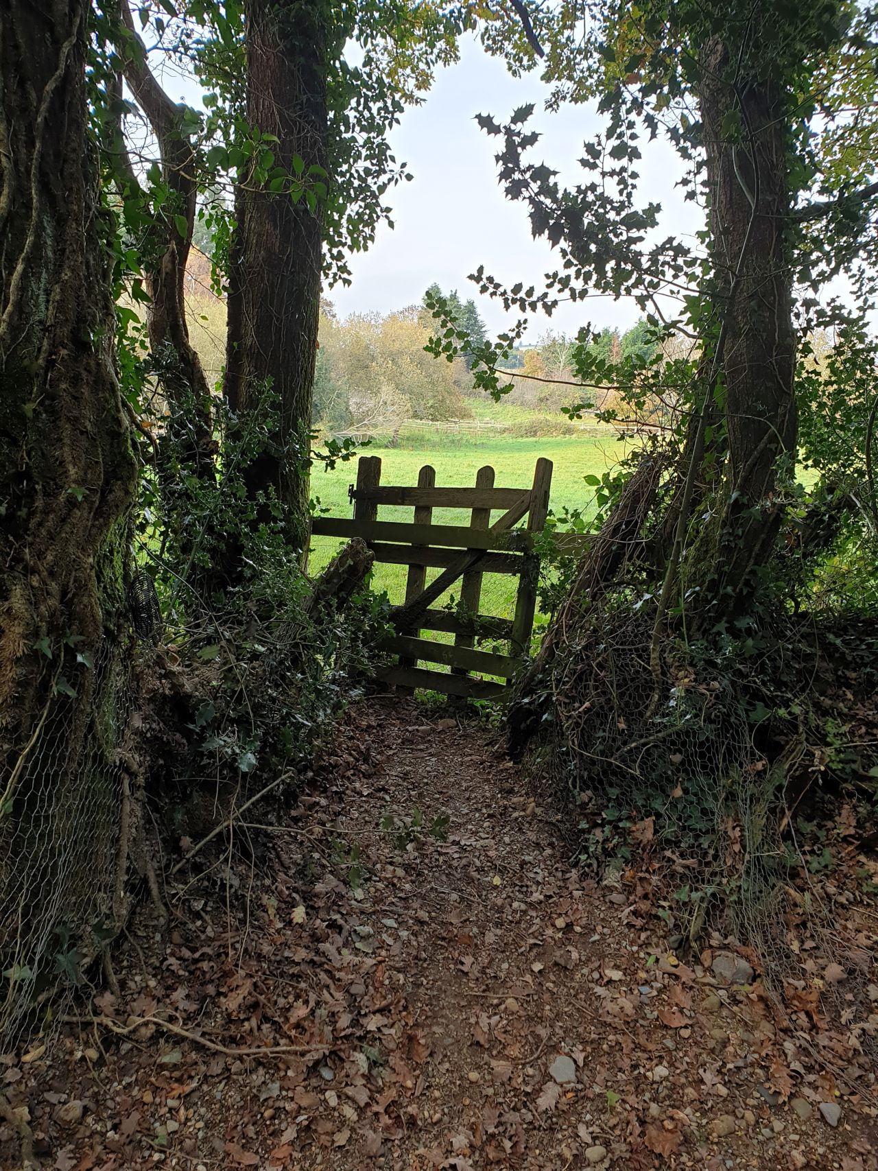 Gate