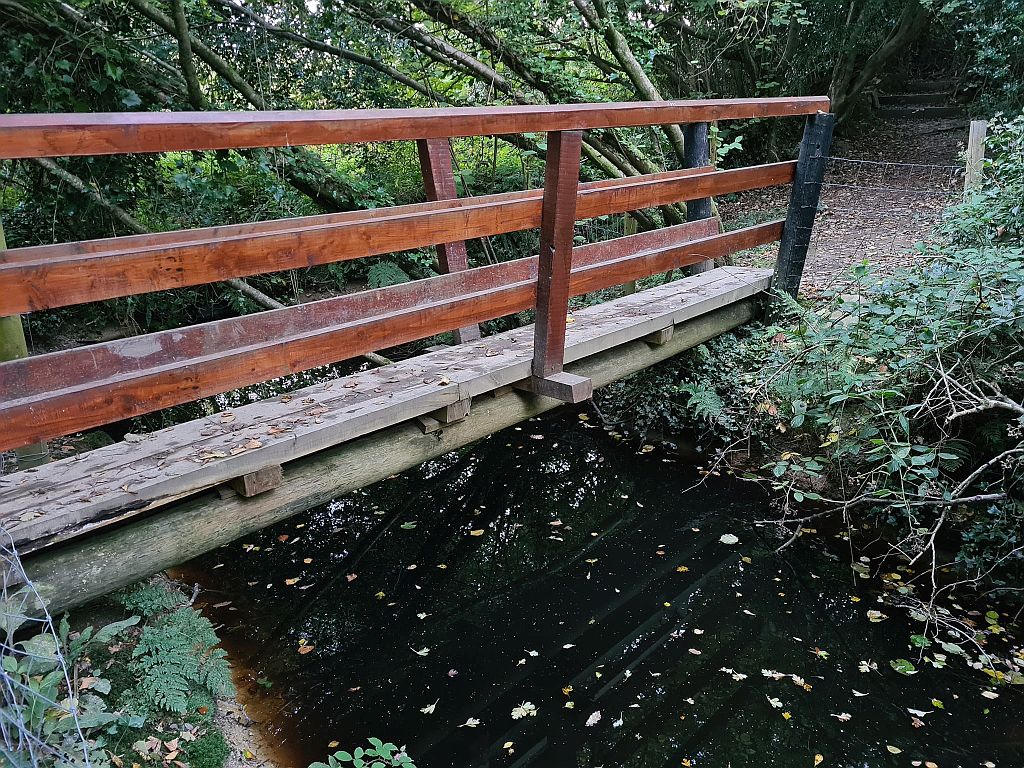Narrow_bridge