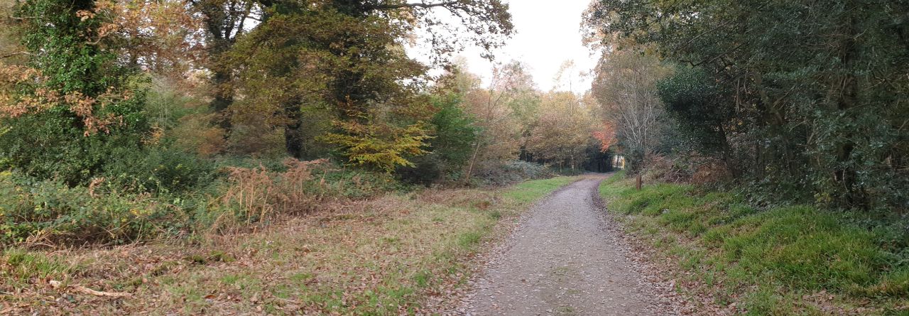 Road